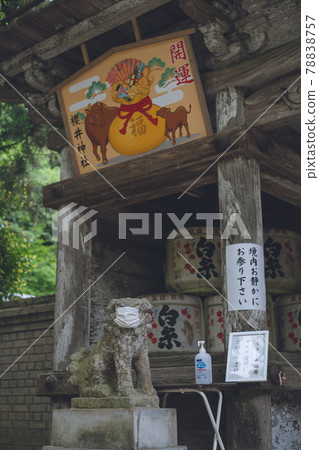 Komainu masked with corona sword-Sakurai Shrine in Itoshima City, Fukuoka Prefecture 78838757