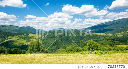 grassy meadow in mountains. wonderful nature landscape. sunny summer day. clouds on the sky 78838770