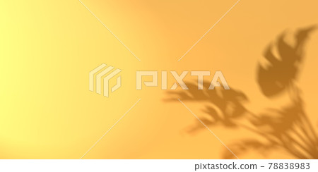 Shadow background of tropical monstera leaves 78838983