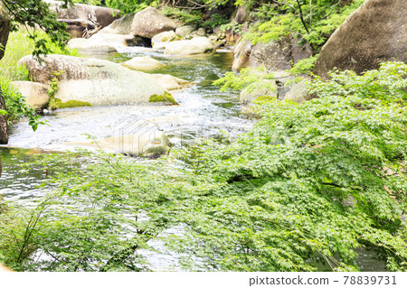 Shosenkyo, a scenic rocky monster stone in Kofu City, Yamanashi Prefecture 78839731