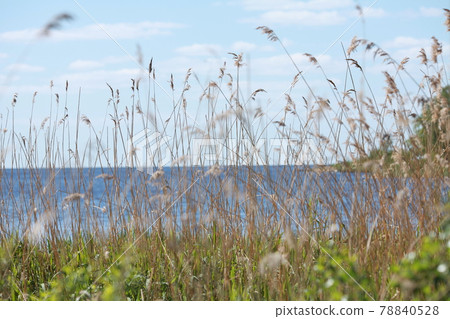 landscape with sunny lake landscape with sunny lake 78840528