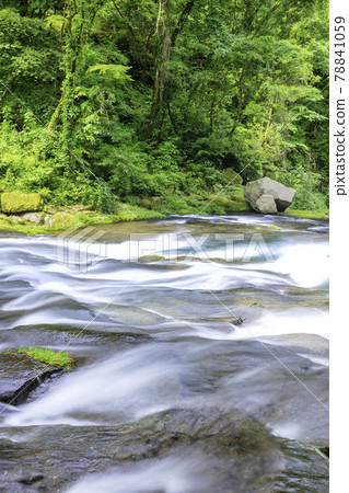 Beautiful Kikuchi Gorge, which has been selected as one of the 100 best waters in Japan (Kikuchi City, Kumamoto Prefecture) 78841059