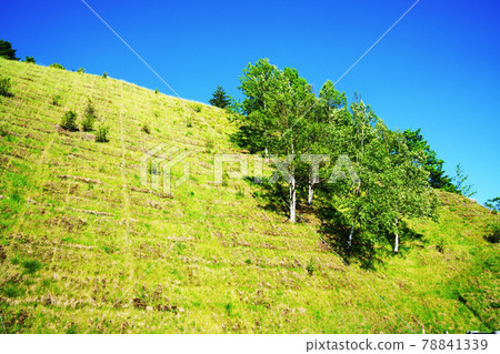 防坡 防坡 78841339