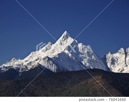 中國梅里雪山勉子木 78841680
