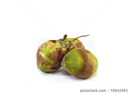 group coconuts on white background 78842065