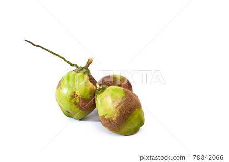 group coconuts on white background 78842066