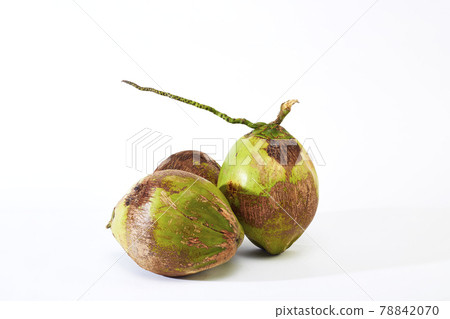 group coconuts on white background group coconuts on white background 78842070