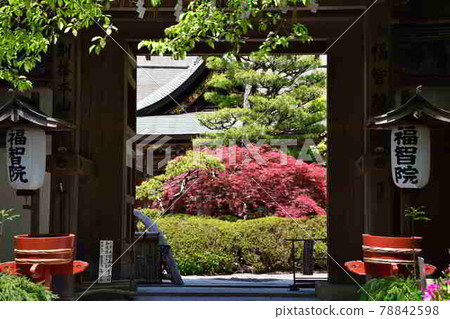 從Takanoyama 78842598