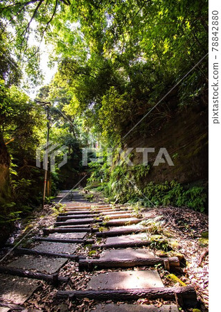 The Onari Kaido, which was built by Ieyasu Tokugawa in Togane City, Chiba Prefecture, was now the approach to Hiyoshi Shrine. The Onari Kaido, which was built by Ieyasu Tokugawa in Togane City, Chiba Prefecture, was now the approach to Hiyoshi Shrine. 78842880