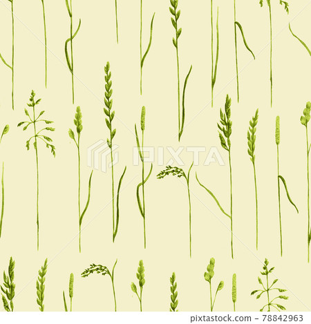 Watercolor hand drawn seamless pattern with meadow cereals. Watercolor hand drawn seamless pattern with meadow cereals. 78842963