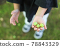 一個拿著李子水果的小孩子 78843329