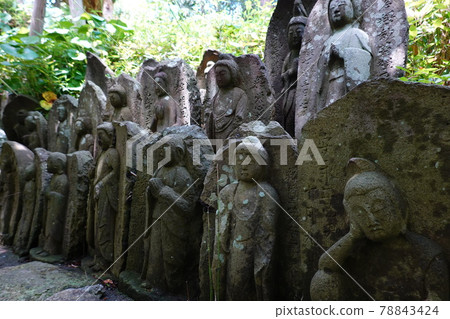Jizo Jizo 78843424