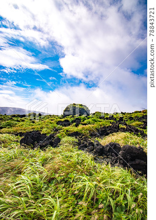 在東京大島町伊豆大島的三原山山頂看到的熔岩風景 78843721