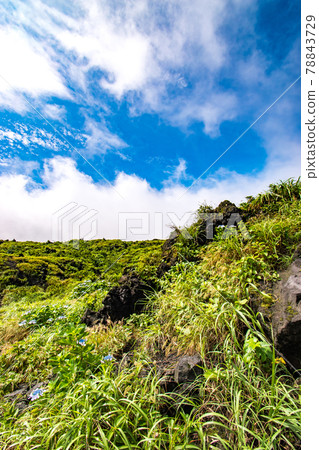 Scenery of lava stones seen at the summit of Mt. Mihara, a volcano on Izu Oshima in Oshima Town, Tokyo Scenery of lava stones seen at the summit of Mt. Mihara, a volcano on Izu Oshima in Oshima Town, Tokyo 78843729
