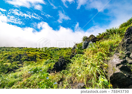 Scenery of lava stones seen at the summit of Mt. Mihara, a volcano on Izu Oshima in Oshima Town, Tokyo Scenery of lava stones seen at the summit of Mt. Mihara, a volcano on Izu Oshima in Oshima Town, Tokyo 78843730