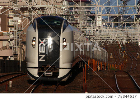 Limited Express Narita Express: E259 series train 78844617