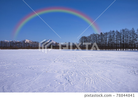 北海道東部美麗的雪景 北海道東部美麗的雪景 78844841