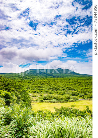 Scenery of Mt. Mihara seen on a trekking course from the top of Mt. Mihara, a volcano on Izu Oshima in Oshima Town, Tokyo 78844956