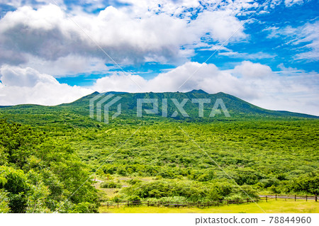 Scenery of Mt. Mihara seen on a trekking course from the top of Mt. Mihara, a volcano on Izu Oshima in Oshima Town, Tokyo 78844960
