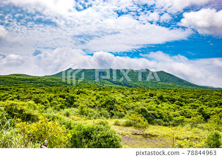 Scenery of Mt. Mihara seen on a trekking course from the top of Mt. Mihara, a volcano on Izu Oshima in Oshima Town, Tokyo 78844963