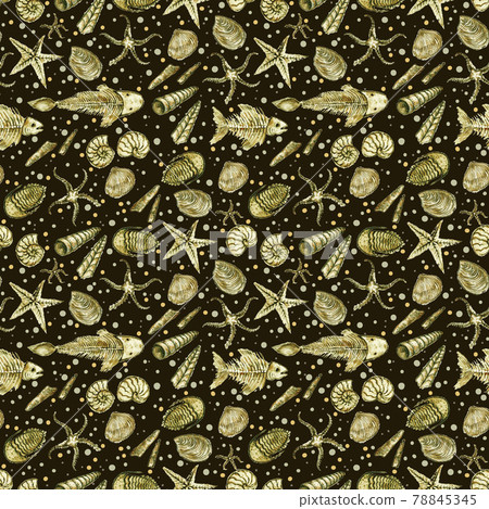 Seamless pattern of hand drawn seashell, ammonites, trilobite and other fossil animals Seamless pattern of hand drawn seashell, ammonites, trilobite and other fossil animals 78845345