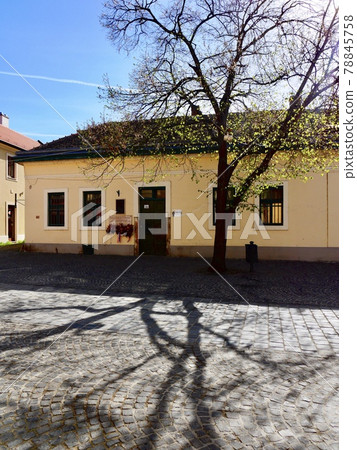 [Hungary] Cityscape of Szentendre 78845758