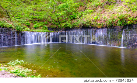 Shiraito Falls（輕井澤） 78845824