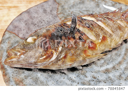 Home-style and simple home-cooked "grilled grunt" watercolor style 78845847