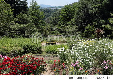 山手台中央公園 78846218