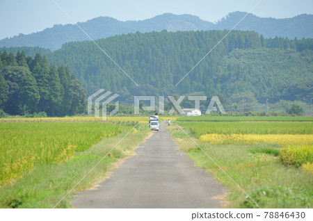 Harvest nears Harvest nears 78846430