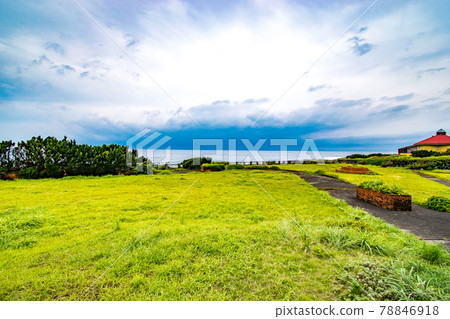 伊豆大島元町港附近的長浜公園 78846918