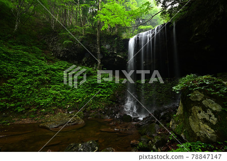 From Iwai Water Falls 78847147