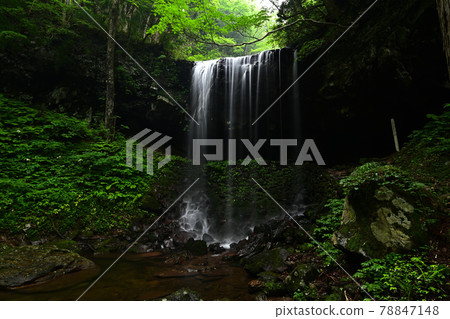 From Iwai Water Falls 78847148