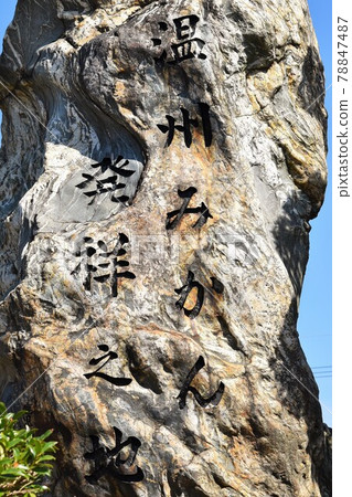 The birthplace of Wenzhou oranges, Nagashima Town, Izumi City, Kagoshima Prefecture 78847487