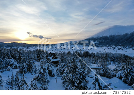 fresh snow covered trees and wooden cabin in wilderness fresh snow covered trees and wooden cabin in wilderness 78847852
