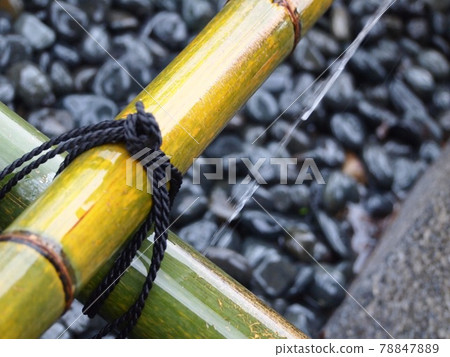 神社的淨水和竹子 78847889