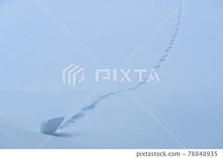 Footprints of winter mountain animals in the midwinter Footprints of winter mountain animals in the midwinter 78848935