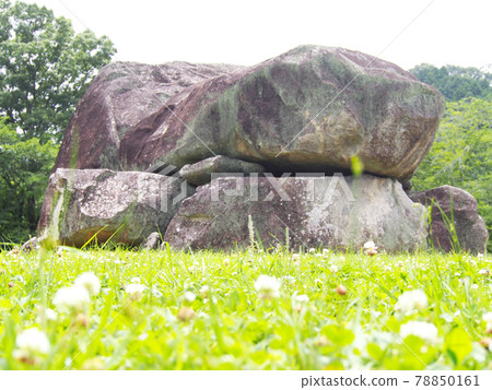 奈良縣石台台古墳 78850161