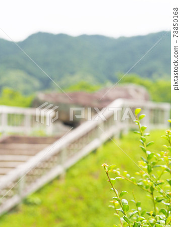 Ishibutai Tumulus, Nara Prefecture 78850168