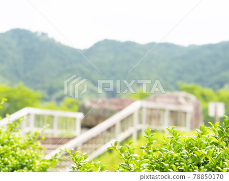 奈良縣石台台古墳 78850170