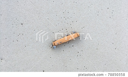 [Marine debris] Floating gill nets that have drifted to the beautiful coast 78850358