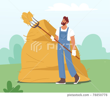 Farmer Holding Pitchfork and Sticking it into Haystack. Villager Male Character Work at Summertime in Village or Farm 78850778