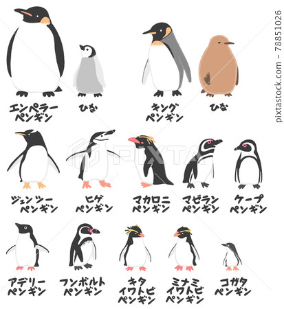Illustration of 12 species of penguins bred in Japan 78851026