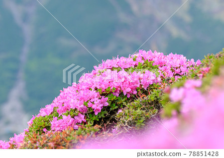 Mount Heiji, Miyamakirishi, Oita Prefecture Mount Heiji, Miyamakirishi, Oita Prefecture 78851428