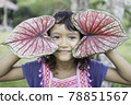 A portrait of an Asian schoolgirl enjoying the leaves of her caladium. 78851567