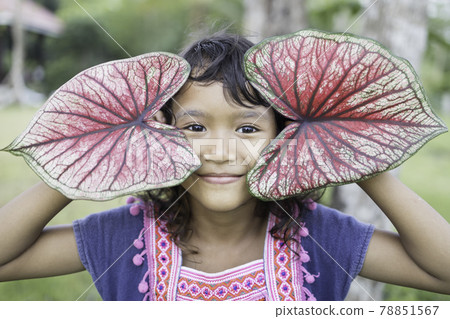 A portrait of an Asian schoolgirl enjoying the leaves of her caladium. A portrait of an Asian schoolgirl enjoying the leaves of her caladium. 78851567