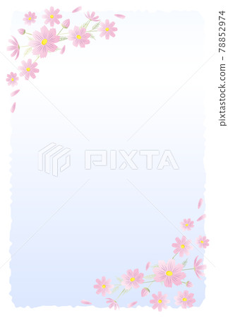 Postcard in mourning Cosmos flowers 78852974