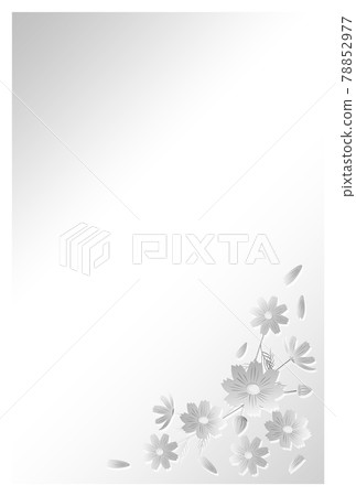 Postcard in mourning Cosmos flowers 78852977