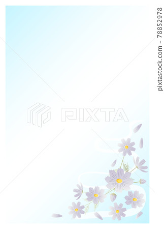 Postcard in mourning Cosmos flowers 78852978