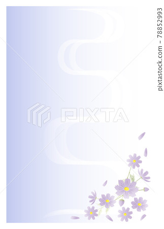 Postcard in mourning Cosmos flowers Postcard in mourning Cosmos flowers 78852993